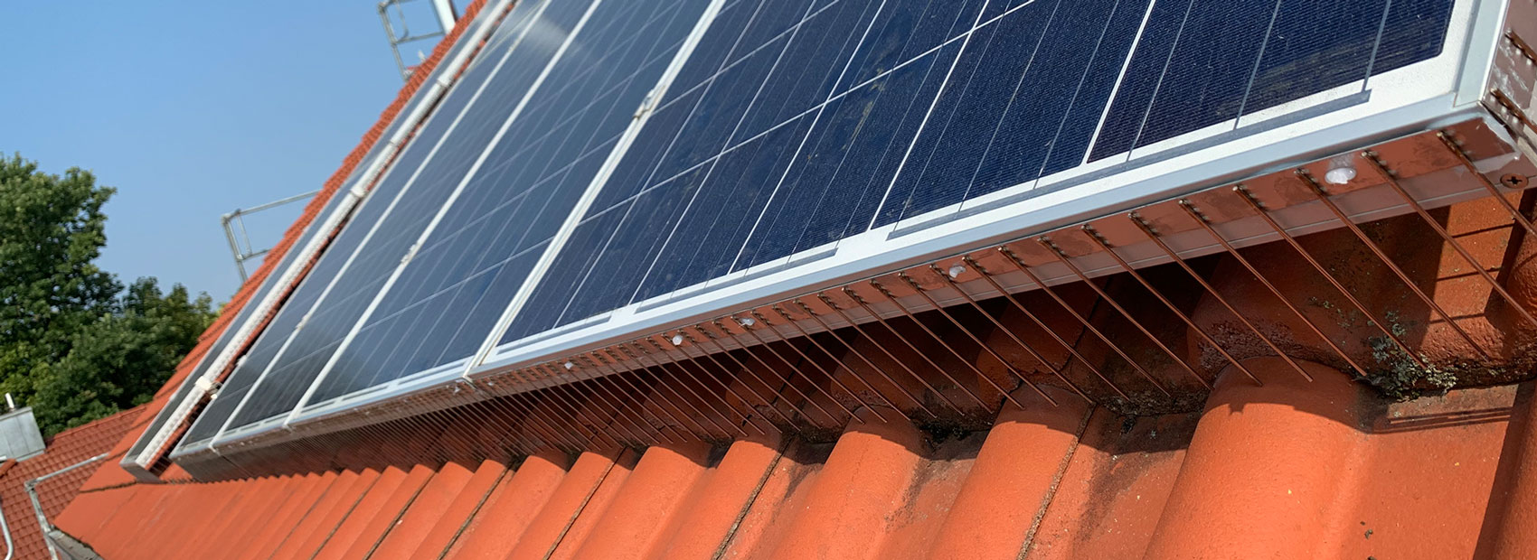 Solaranlage mit Taubenabwehrsystem